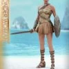 Vendor-unknown Hot Toys DC Comics Wonder Woman (Training Armor Version) 1/6 Scale Figure