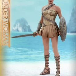 Vendor-unknown Hot Toys DC Comics Wonder Woman (Training Armor Version) 1/6 Scale Figure