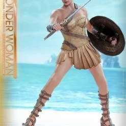 Vendor-unknown Hot Toys DC Comics Wonder Woman (Training Armor Version) 1/6 Scale Figure
