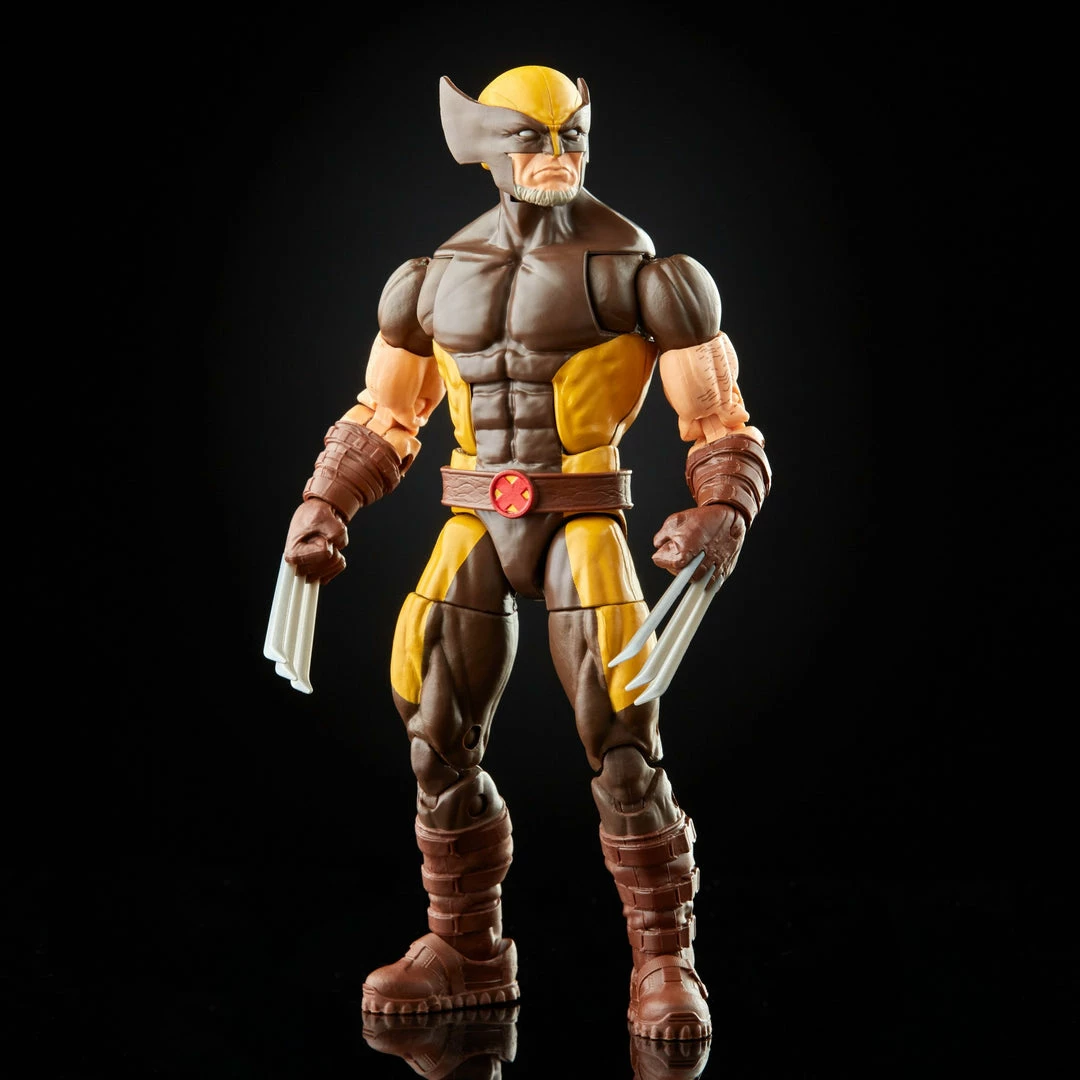 Maybang's Collectibles Hasbro Marvel Legends Series X-Men Wolverine Action Figure 4 Maybang's Collectibles Hasbro Marvel Legends Series X-Men Wolverine Action Figure