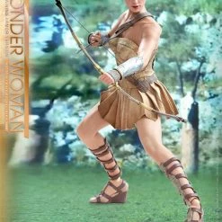 Vendor-unknown Hot Toys DC Comics Wonder Woman (Training Armor Version) 1/6 Scale Figure