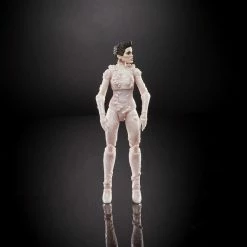 Maybang's Collectibles Hasbro Ghostbusters Plasma Series Wave 1 Set Of 6 Figures (Terror Dog BAF)