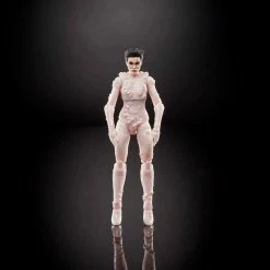 Maybang's Collectibles Hasbro Ghostbusters Plasma Series Wave 1 Set Of 6 Figures (Terror Dog BAF)