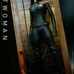 Maybang's Collectibles Hot Toys DC Comics Batman The Dark Knight Trilogy The Dark Knight Rises Catwoman Selina Kyle 1/6 Scale 12