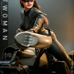 Maybang's Collectibles Hot Toys DC Comics Batman The Dark Knight Trilogy The Dark Knight Rises Catwoman Selina Kyle 1/6 Scale 12