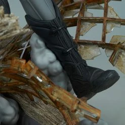 Maybang's Collectibles Sideshow DC Comics Batgirl Premium Format Figure Statue 59 Maybang's Collectibles Sideshow DC Comics Batgirl Premium Format Figure Statue