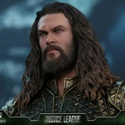 Vendor-unknown Hot Toys DC Comics Justice League Aquaman 1/6 Scale Figure 40 Vendor-unknown Hot Toys DC Comics Justice League Aquaman 1/6 Scale Figure