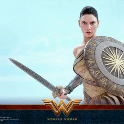 Vendor-unknown Hot Toys DC Comics Wonder Woman (Training Armor Version) 1/6 Scale Figure