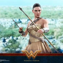 Vendor-unknown Hot Toys DC Comics Wonder Woman (Training Armor Version) 1/6 Scale Figure