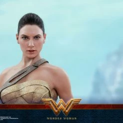 Vendor-unknown Hot Toys DC Comics Wonder Woman (Training Armor Version) 1/6 Scale Figure