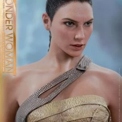 Vendor-unknown Hot Toys DC Comics Wonder Woman (Training Armor Version) 1/6 Scale Figure