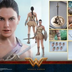 Vendor-unknown Hot Toys DC Comics Wonder Woman (Training Armor Version) 1/6 Scale Figure
