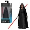 Maybang's Collectibles Hasbro Star Wars The Black Series Rey (Dark Side Vision) 6-Inch Action Figure