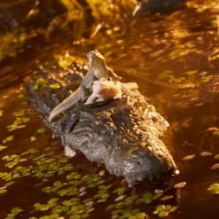 Maybang's Collectibles Hasbro G.I. Joe Classified Series Croc Master & Fiona Action Figure