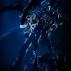 Vendor-unknown Sideshow Aliens Collectibles Alien Queen Maquette Statue Sideshow Collectibles