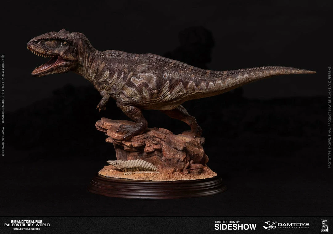 Maybang's Collectibles Damtoys Museum Collection Series MUS014 Giganotosaurus Statue 1 Maybang's Collectibles Damtoys Museum Collection Series MUS014 Giganotosaurus Statue