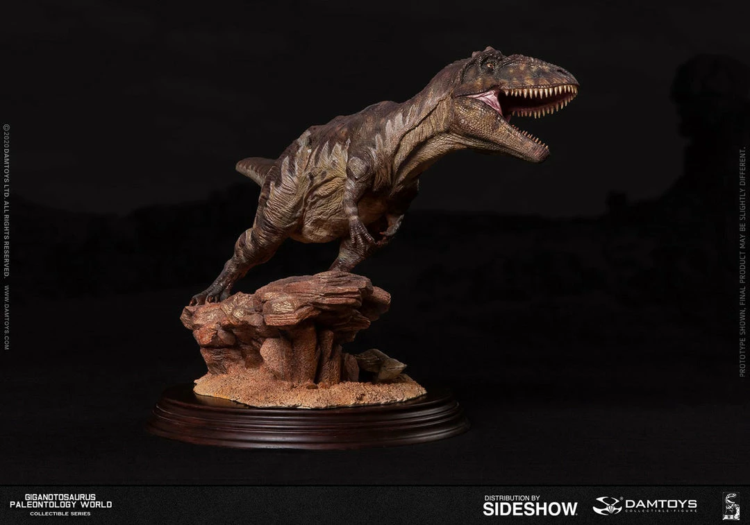 Maybang's Collectibles Damtoys Museum Collection Series MUS014 Giganotosaurus Statue 5 Maybang's Collectibles Damtoys Museum Collection Series MUS014 Giganotosaurus Statue