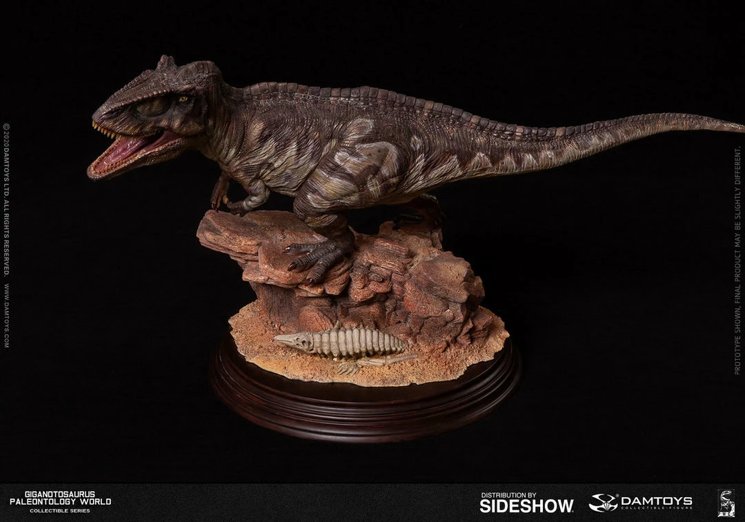 Maybang's Collectibles Damtoys Museum Collection Series MUS014 Giganotosaurus Statue 9 Maybang's Collectibles Damtoys Museum Collection Series MUS014 Giganotosaurus Statue