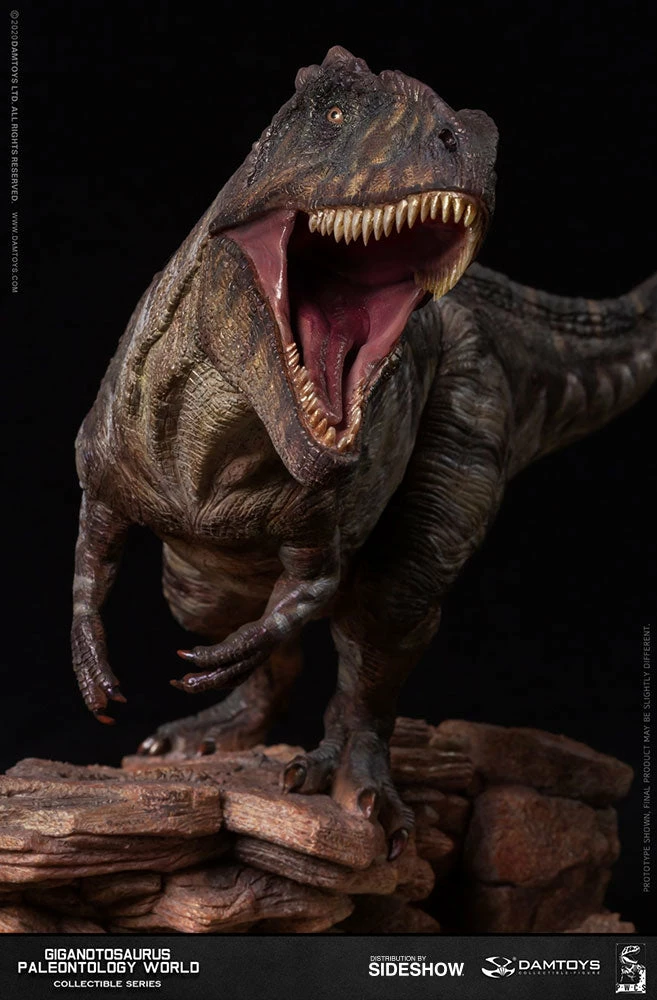 Maybang's Collectibles Damtoys Museum Collection Series MUS014 Giganotosaurus Statue 19 Maybang's Collectibles Damtoys Museum Collection Series MUS014 Giganotosaurus Statue