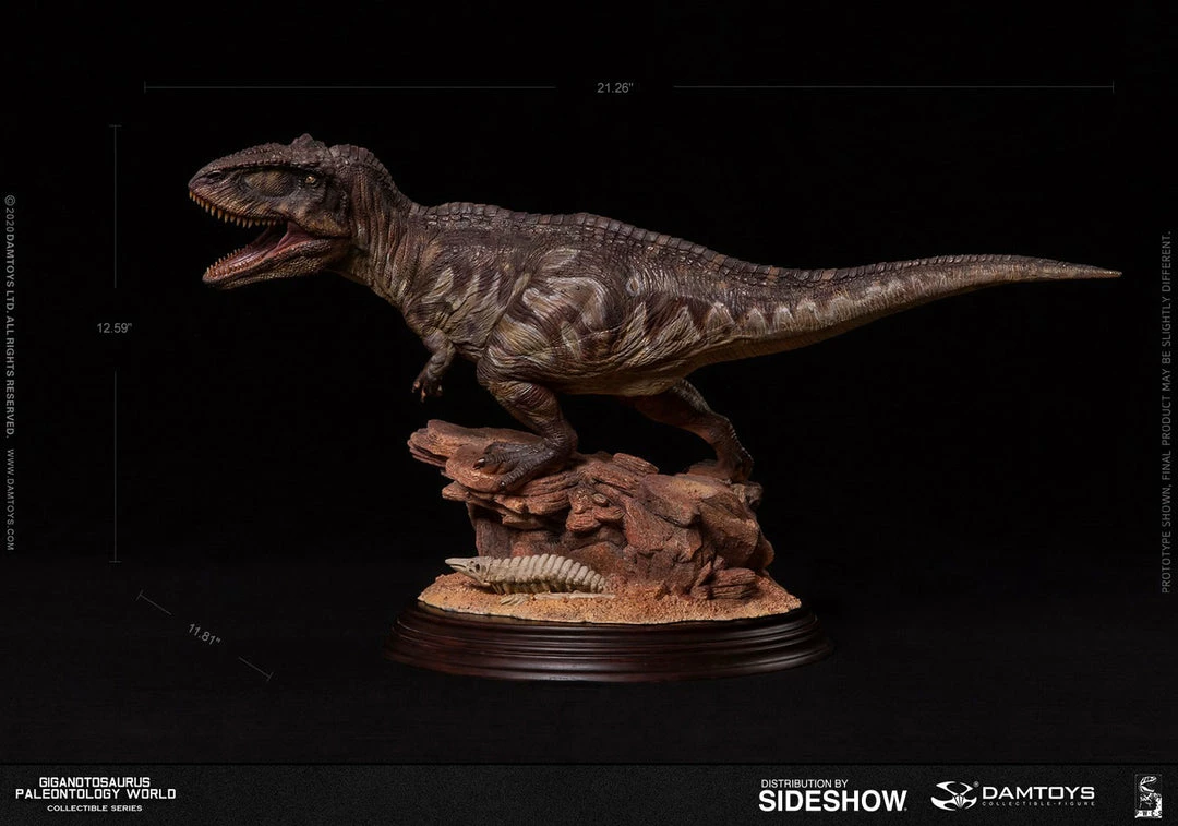 Maybang's Collectibles Damtoys Museum Collection Series MUS014 Giganotosaurus Statue 20 Maybang's Collectibles Damtoys Museum Collection Series MUS014 Giganotosaurus Statue