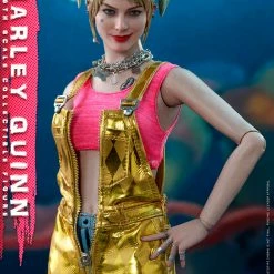 Maybang's Collectibles Hot Toys DC Comics Birds Of Prey Harley Quinn 1/6 Scale Collectible Figure