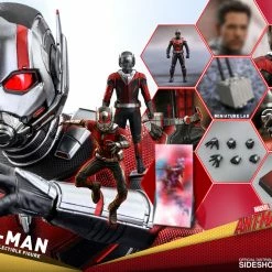 Maybang's Collectibles Hot Toys Marvel Ant-Man And The Wasp Ant-Man 1/6 Scale Figure