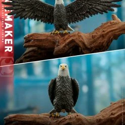 Maybang's Collectibles Hot Toys DC Comics Television Masterpiece Series - Peacemaker Peacemaker 1/6 Scale 12" Collectible Figure 30 Maybang's Collectibles Hot Toys DC Comics Television Masterpiece Series - Peacemaker Peacemaker 1/6 Scale 12