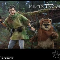 Maybang's Collectibles Hot Toys Star Wars Episode VI Return Of The Jedi Princess Leia & Ewok Wicket 1/6 Scale Figure Set