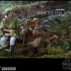 Maybang's Collectibles Hot Toys Star Wars Episode VI Return Of The Jedi Princess Leia & Ewok Wicket 1/6 Scale Figure Set