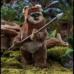 Maybang's Collectibles Hot Toys Star Wars Episode VI Return Of The Jedi Princess Leia & Ewok Wicket 1/6 Scale Figure Set