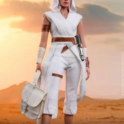 Maybang's Collectibles Hot Toys Star Wars Episode IX The Rise Of Skywalker Rey & D-O 1/6 Scale Collectible Figure Set