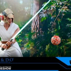 Maybang's Collectibles Hot Toys Star Wars Episode IX The Rise Of Skywalker Rey & D-O 1/6 Scale Collectible Figure Set