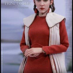 Maybang's Collectibles Hot Toys Star Wars Episode V - The Empires Strikes Back Princess Leia (Bespin) 1/6 Scale Action Figure 24 Maybang's Collectibles Hot Toys Star Wars Episode V - The Empires Strikes Back Princess Leia (Bespin) 1/6 Scale Action Figure